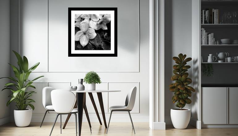 Original Other Nature Photography by Gary Horsfall