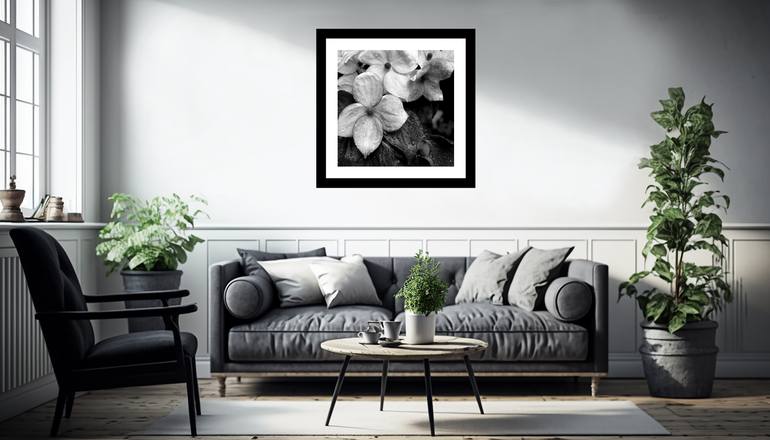 Original Other Nature Photography by Gary Horsfall