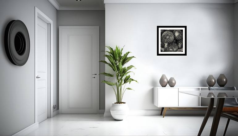 Original Abstract Nature Photography by Gary Horsfall