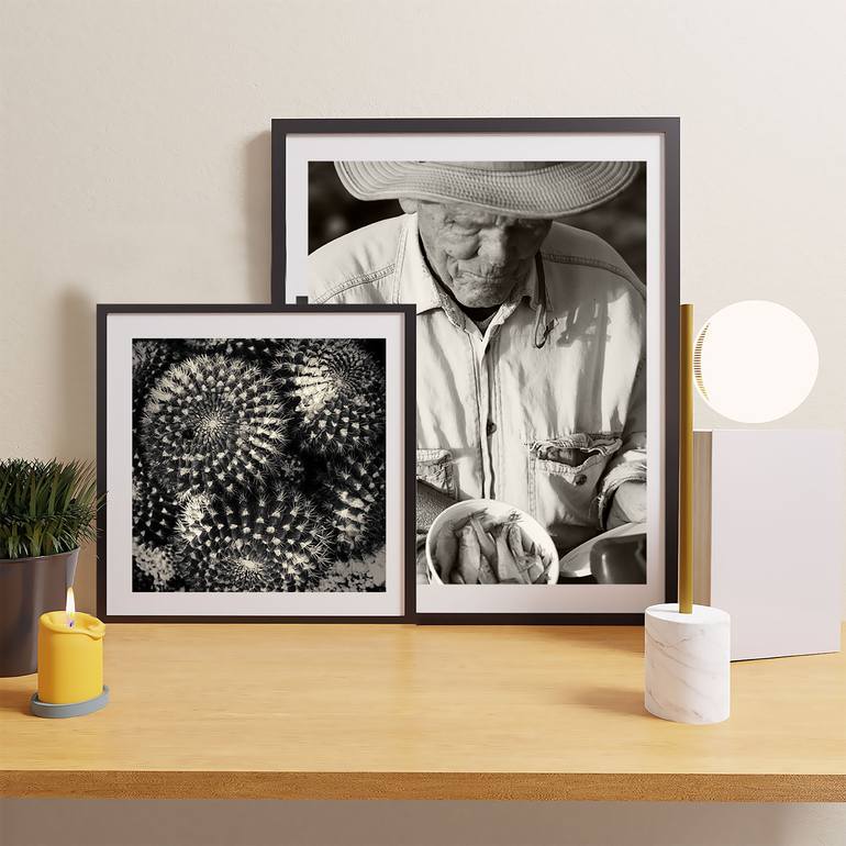 Original Abstract Nature Photography by Gary Horsfall