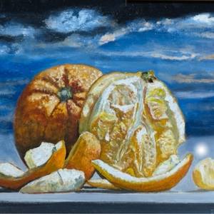 Citrus in Shadow
