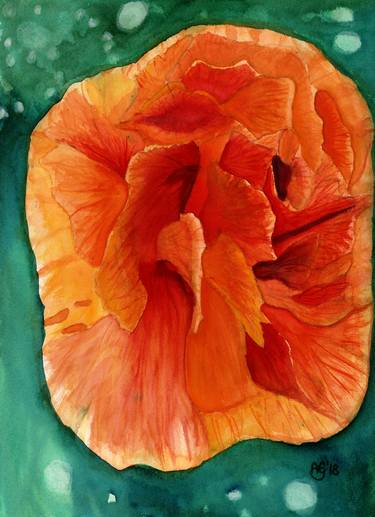 Print of Photorealism Botanic Paintings by Aleksander Karol Gumos