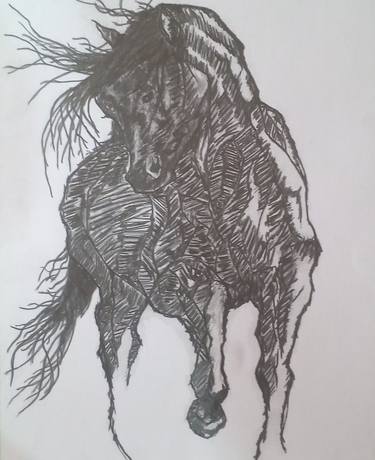 Print of Horse Drawings by Rupa Kumari