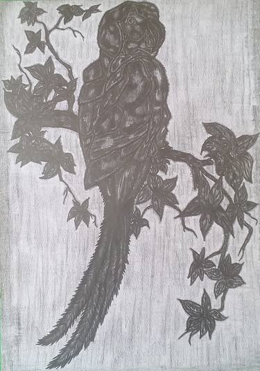 Print of Nature Drawings by Rupa Kumari