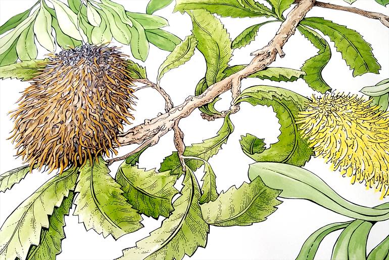 Original Folk Nature Drawing by Pilar Basa