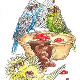 Budgies Love Meat Pies by Pilar Basa