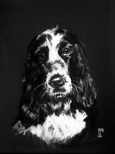 Print of Fine Art Animal Drawings by Jordan Eastwood