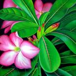 flower series by Murali Nagapuzha