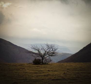 Print of Conceptual Landscape Photography by Mattia Baldassarri