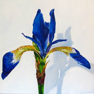Original Fine Art Floral Paintings by John Wright