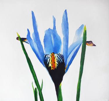 Original Modern Floral Paintings by John Wright