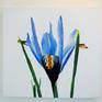 One of the first flowers of spring, this small Iris punches above it's weight.
Box Canvas ready to hang.