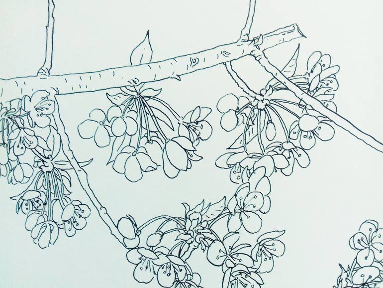 Original Figurative Nature Drawing by Armando Prieto Perez