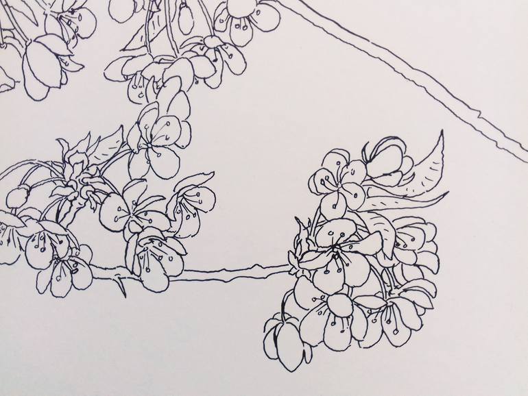 Original Figurative Nature Drawing by Armando Prieto Perez