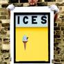 ICES Sherbet Yellow Print