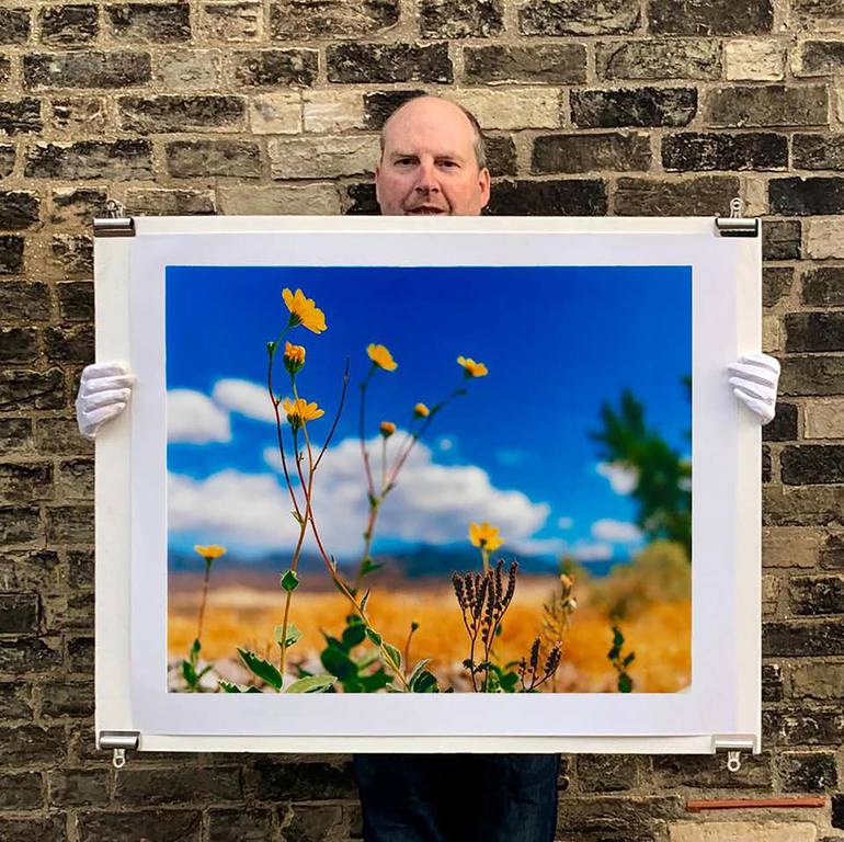 Original Documentary Floral Photography by Richard Heeps