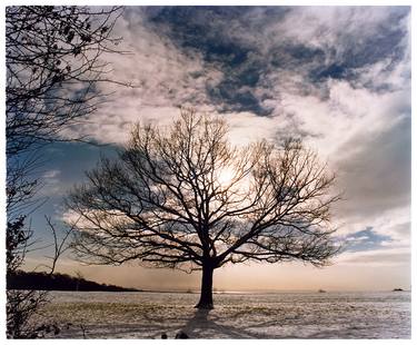 Saatchi Art Artist Richard Heeps; Photography, “One Tree Hill, Langdon Hills Country Park - Limited Edition of 25” #art