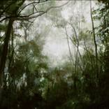 no title by Antonio Bardino
