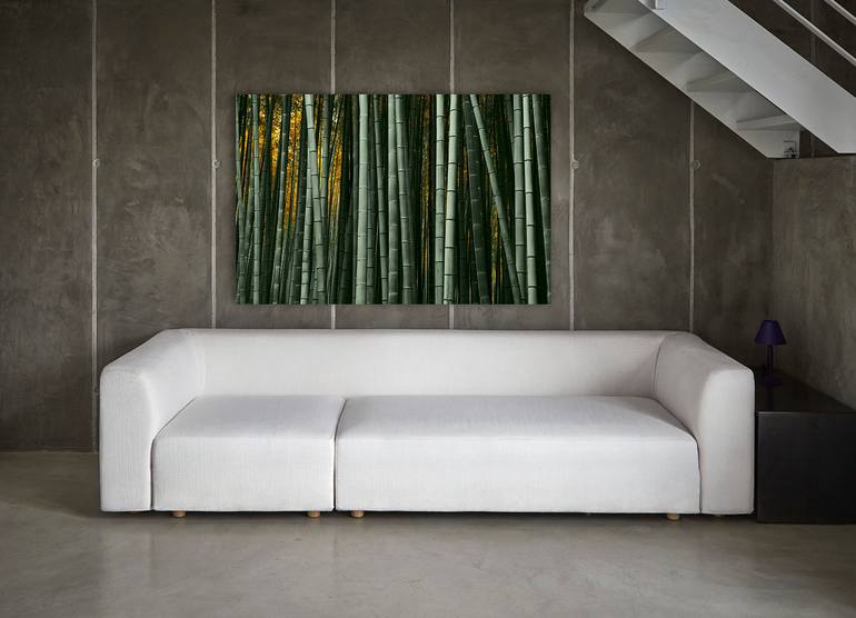 Original Minimalism Nature Photography by Maurizio Pracella