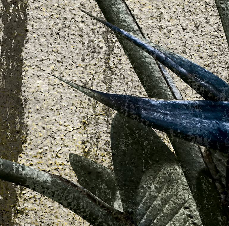 Original Other Nature Photography by Maurizio Pracella