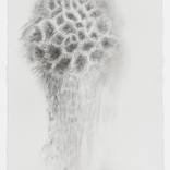 Full fathom Five #5 by Sally Simpson