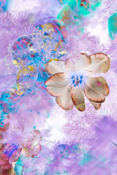 Original Surrealism Floral Photography by Robert A Ripps