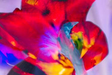 Original Pop Art Floral Photography by Robert A Ripps