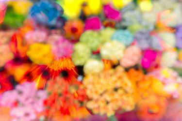 Original Impressionism Floral Photography by Robert A Ripps