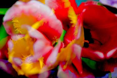 Original Conceptual Floral Photography by Robert A Ripps