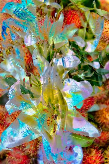 Original Conceptual Floral Photography by Robert A Ripps