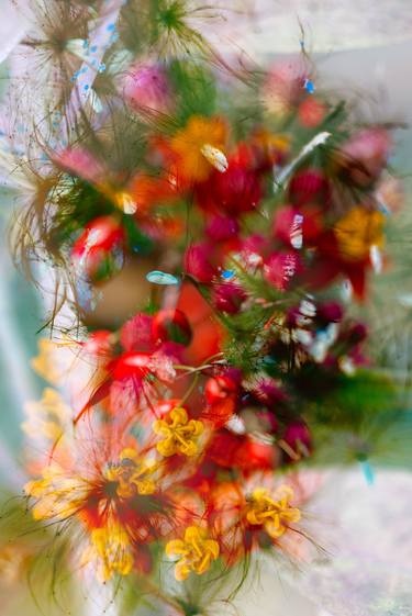Original Conceptual Botanic Photography by Robert A Ripps