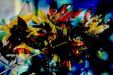 Original Conceptual Botanic Photography by Robert A Ripps