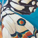 Collection Figurative Paintings