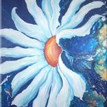 Collection Floral Paintings