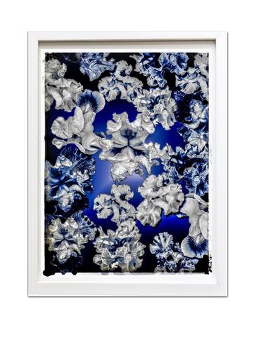 FB's Irises Photomontage Blue Story Version 6 thumb