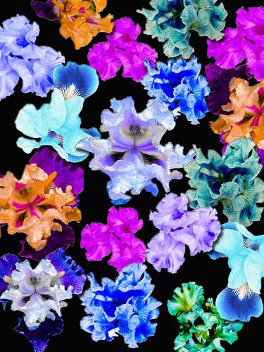 Original Abstract Floral Mixed Media by Joanie Landau