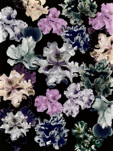 Original Abstract Floral Mixed Media by Joanie Landau