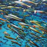 Sardines by Karen Frey