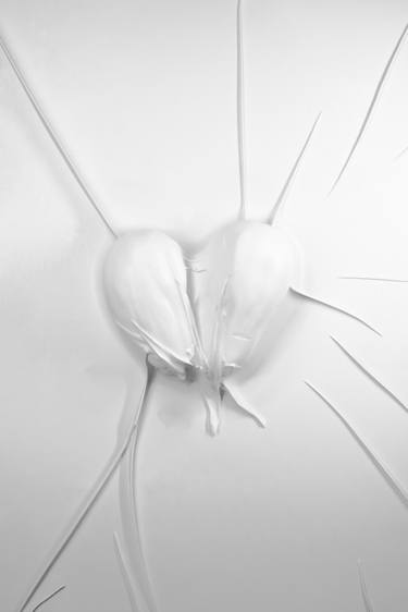 Original Black & White Love Photography by Dr Gora Parasit