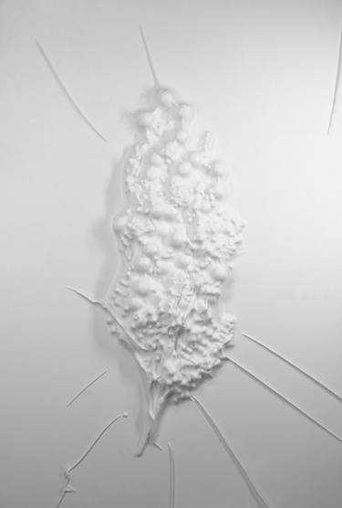 Original Conceptual Floral Photography by Dr Gora Parasit