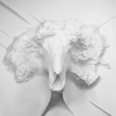 Original Abstract Classical Mythology Photography by Dr Gora Parasit