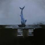 Shark on the roof by J Nezna