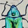 Dogbane beetle detail 2
