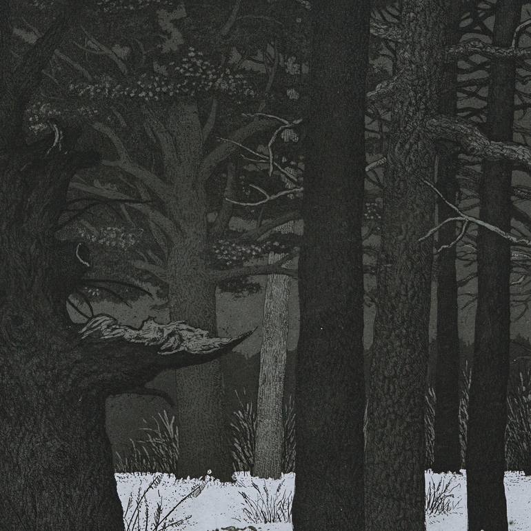 Original Figurative Fantasy Printmaking by Valery Slauk