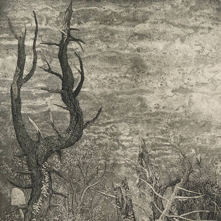 Original Figurative Fantasy Printmaking by Valery Slauk