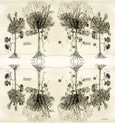 Print of Tree Drawings by Nan Norred