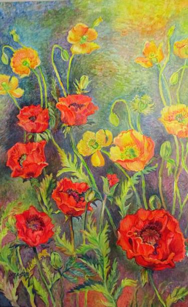 Poppies in yellow and red thumb