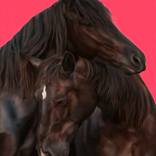 Lover's Bonds They Hold So Fast by Brooke Walker