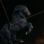 The Knight / Conflicted Reality by Brooke Walker