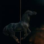 The Carousel / Recurring Reality by Brooke Walker